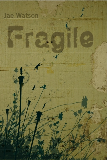 E-knjiga Fragile Jae Watson