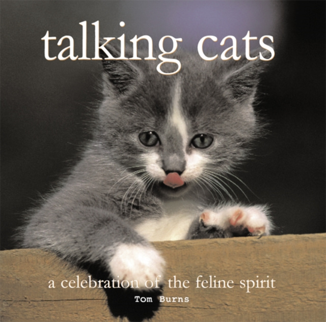 E-knjiga talking cats Tom Burns