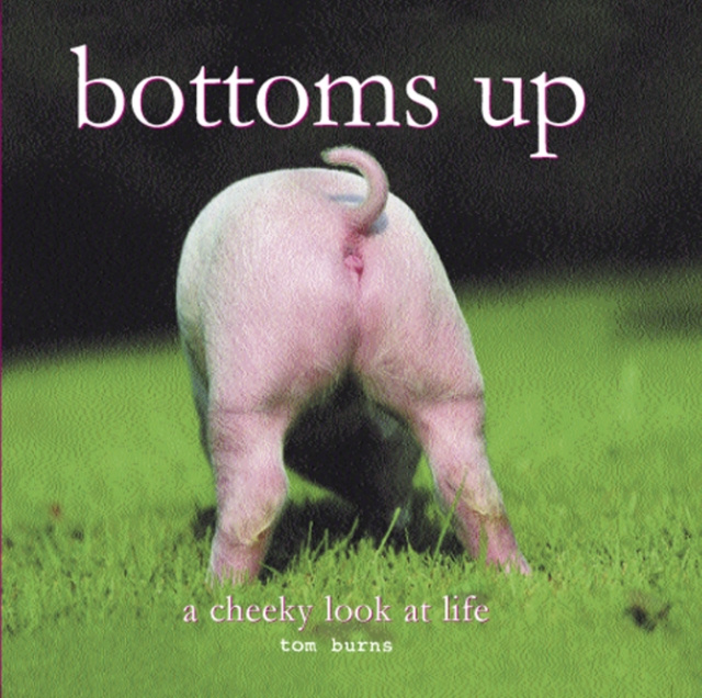 E-book Bottoms Up Tom Burns