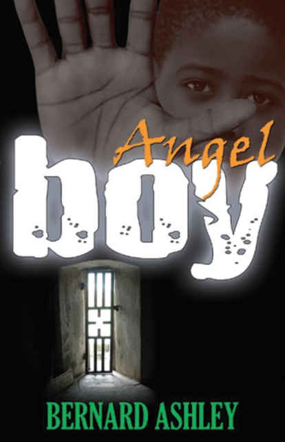 E-knjiga Angel Boy Bernard Ashley