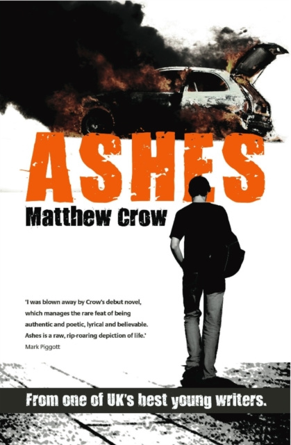 E-knjiga Ashes Matthew Crow