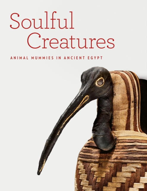 E-book Soulful Creatures Edward Bleiberg