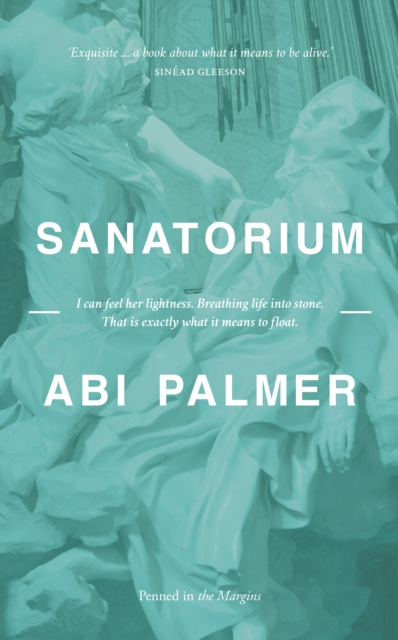 E-knjiga Sanatorium Abi Palmer