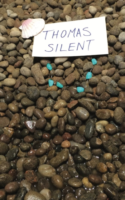 E-book Thomas Silent Ben Gribbin