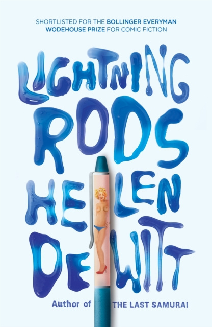 E-book Lightning Rods Helen DeWitt