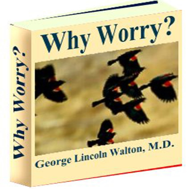 Audiobook Why Worry ? Walton George Lincoln  Walton