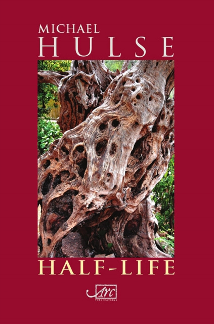E-kniha Half-Life Michael Hulse