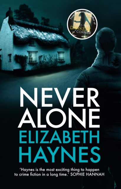 E-knjiga Never Alone Elizabeth Haynes
