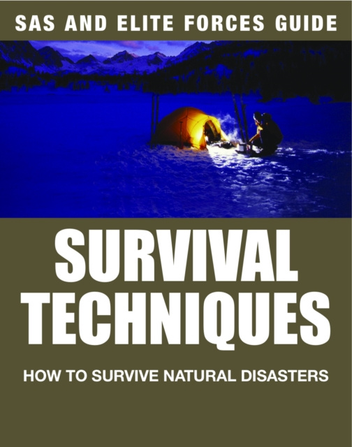 E-kniha Survival Techniques Alexander Stilwell