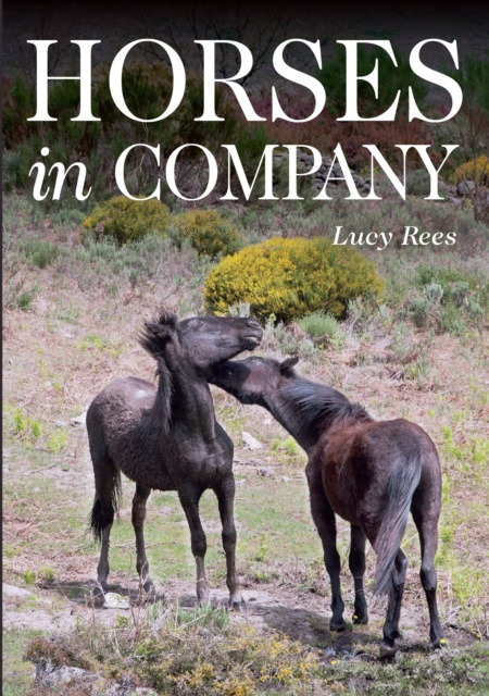 E-book Horses in Company Lucy Rees