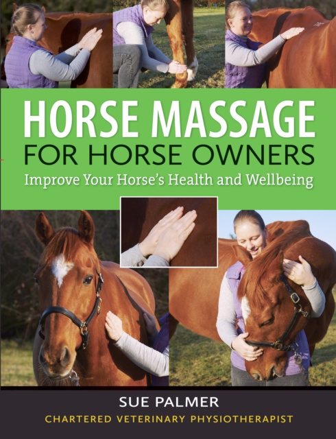 E-book Horse Massage for Horse Owners Sue Palmer