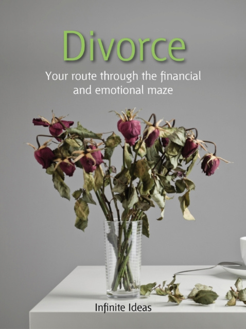E-knjiga Divorce Infinite Ideas