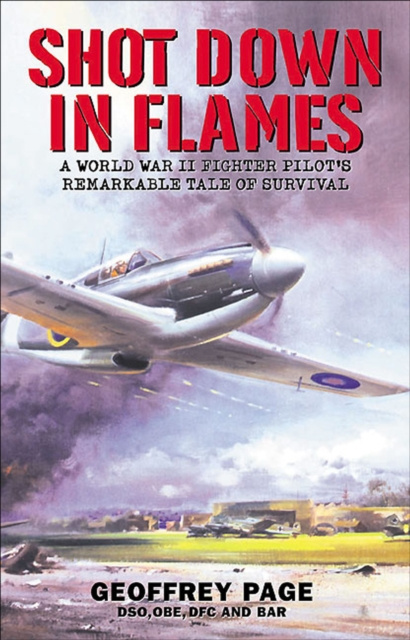 E-kniha Shot Down in Flames Geoffrey Page