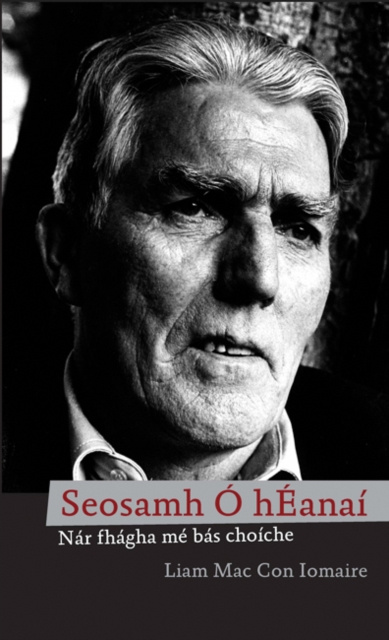 E-book Seosamh O hEanai Liam Mac Con Iomaire