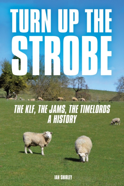 E-kniha Turn Up The Strobe Ian Shirley