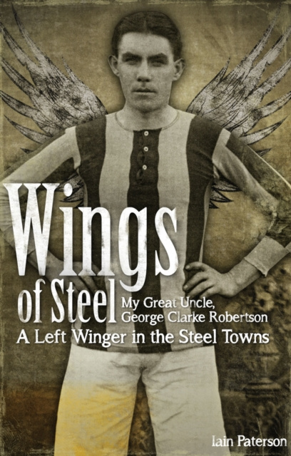 E-knjiga Wings of Steel Iain Paterson