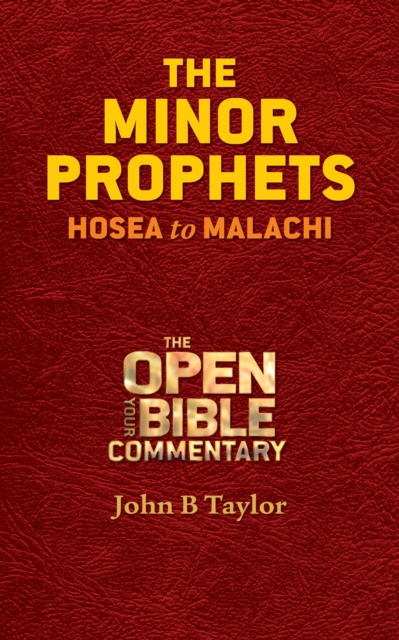 E-knjiga Minor Prophets John B. Taylor