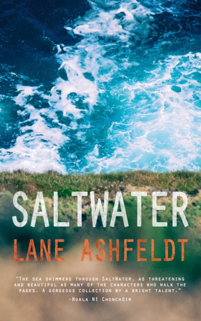 E-book SaltWater Lane Ashfeldt