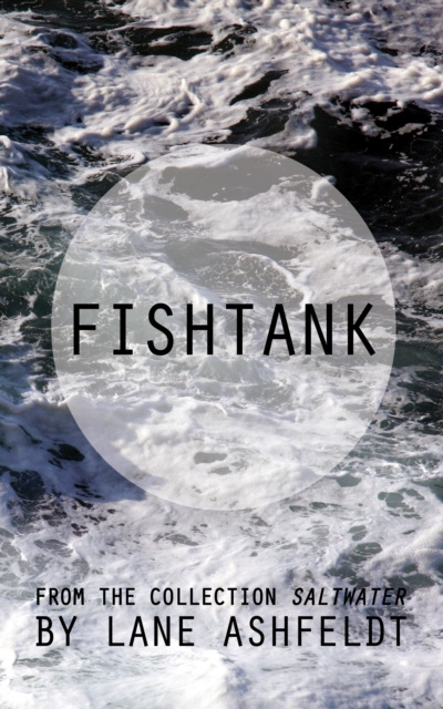 E-book Fishtank Lane Ashfeldt