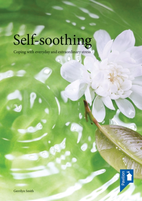 E-book Self-soothing Gerrilyn Smith