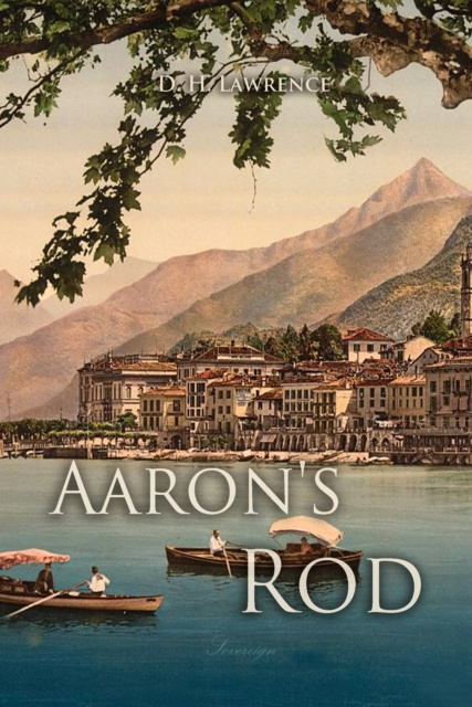 E-knjiga Aaron's Rod D.H Lawrence