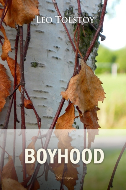 E-knjiga Boyhood Leo Tolstoy