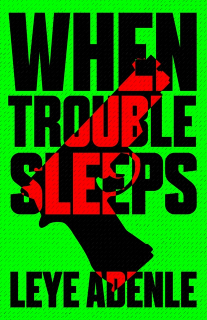 E-book When Trouble Sleeps Leye Adenle