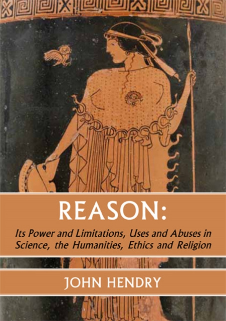E-kniha Reason: John Hendry