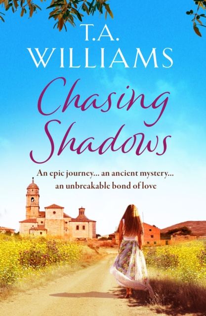 E-knjiga Chasing Shadows T.A. Williams