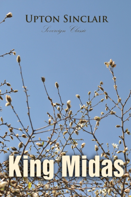 E-knjiga King Midas Upton Sinclair