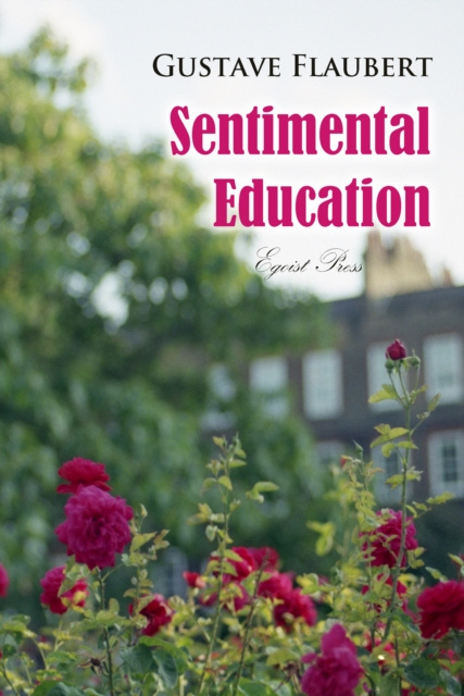 E-book Sentimental Education Gustave Flaubert