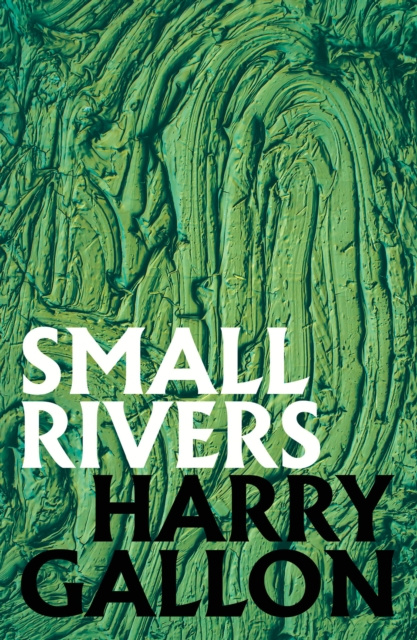 E-kniha Small Rivers Harry Gallon