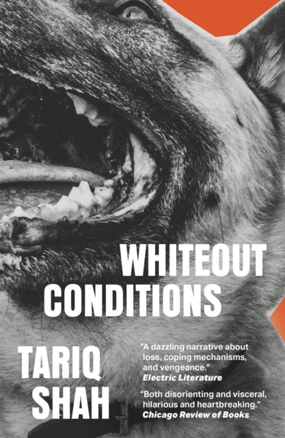 E-kniha Whiteout Conditions Tariq Shah