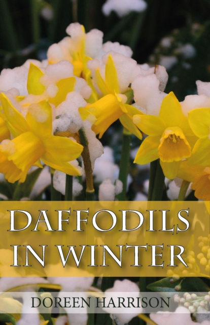 E-knjiga Daffodils in Winter Doreen Harrison