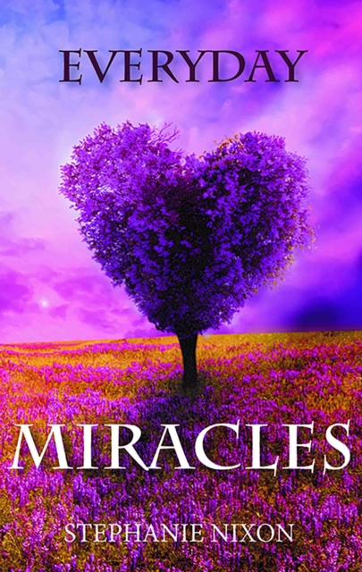 E-book Everyday Miracles Stephanie Nixon