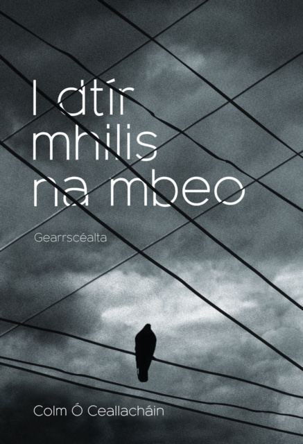 E-kniha I dTir Mhilis na mBeo Colm O Ceallachain