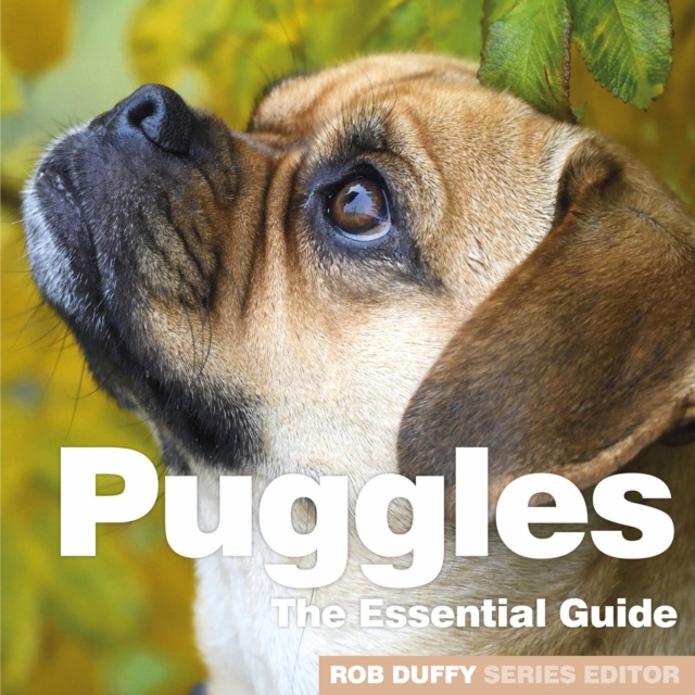 E-knjiga Puggles Robert Duffy