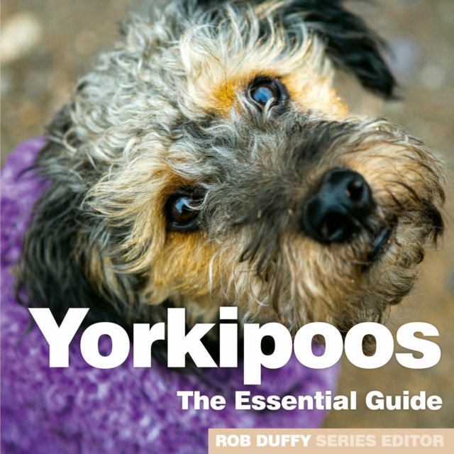 E-book Yorkipoos Robert r Duffy
