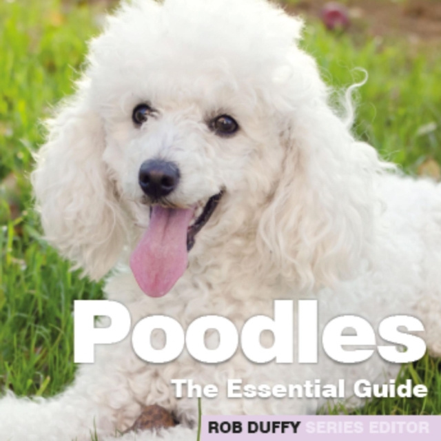 E-book Poodles Robert Duffy