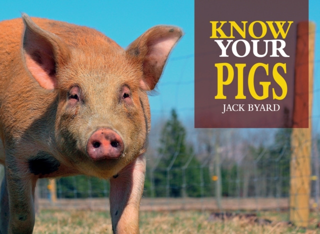 E-kniha Know Your Pigs Jack Byard