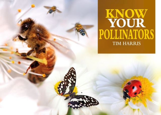 E-book Know Your Pollinators Tim Harris