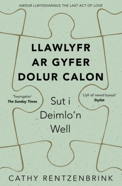 E-kniha Llawlyfr ar Gyfer Dolur Calon Cathy Rentzenbrink