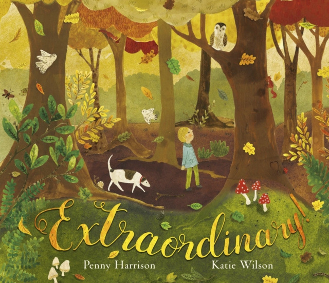 E-knjiga Extraordinary! Penny Harrison