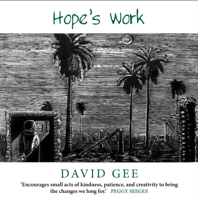 E-book Hope's Work David Gee