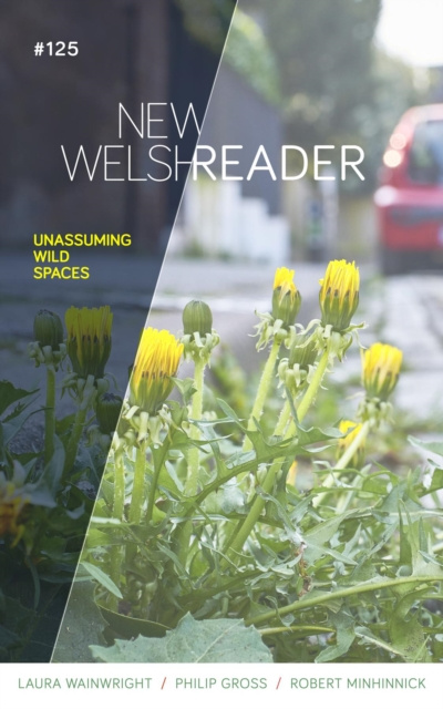 E-book New Welsh Reader Winter 2020 Gwen Davies