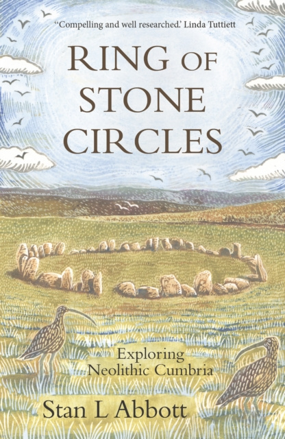 E-book Ring of Stone Circles Stan Abbott