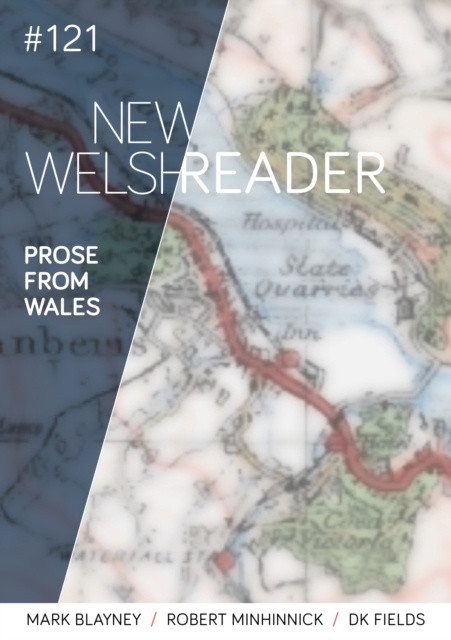 E-kniha New Welsh Reader 121 Davies Gwen