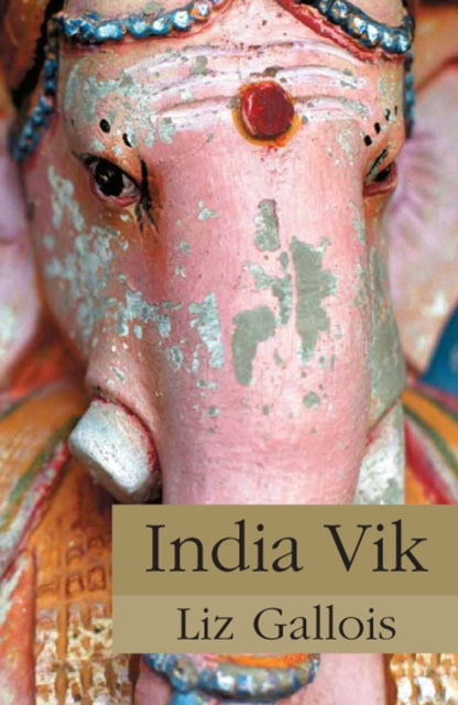 E-knjiga India Vik Liz Gallois