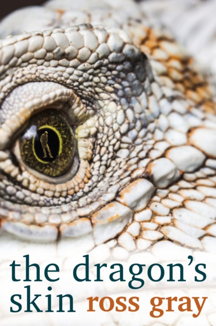 ebook Dragon's Skin Ross Gray