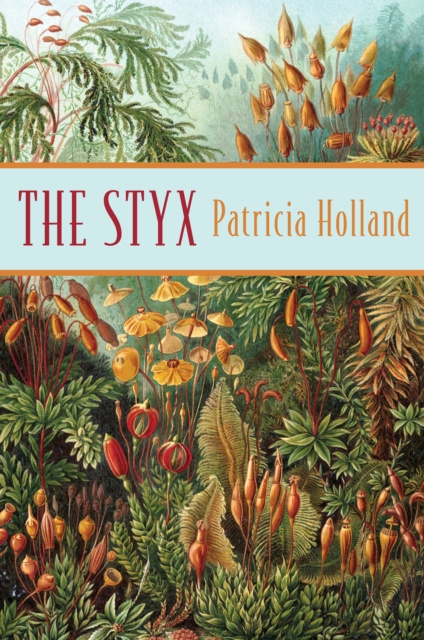 E-Book Styx Patricia Holland
